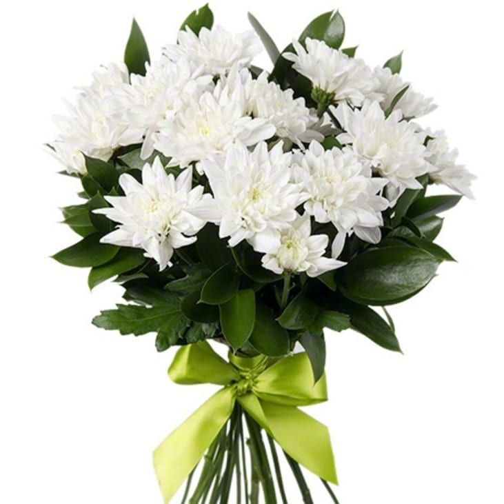 Мой сон от 6 300 руб.