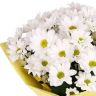 Ромашки от 4 600 руб.