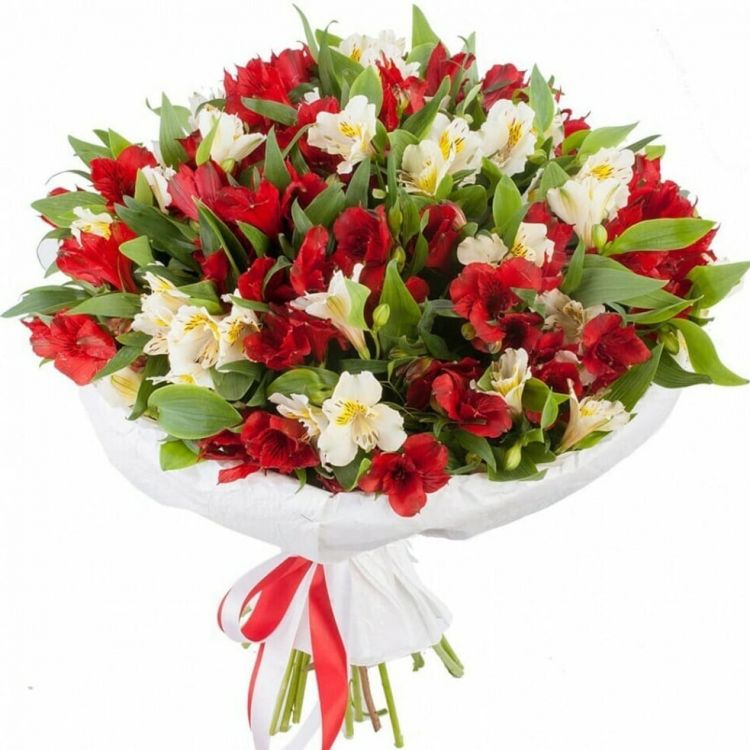 Миг от 6 400 руб.