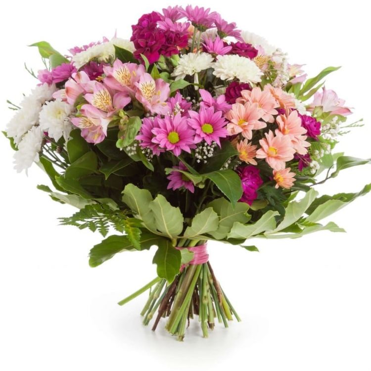 Милый от 6 700 руб.