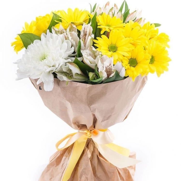 Солнечный луч от 6 600 руб.